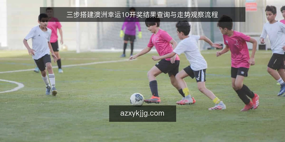 三步搭建澳洲幸运10开奖结果查询与走势观察流程 — 准备：明确查询口径与数据源边界 配图